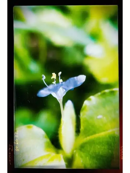 1080_1440竖版 竖屏