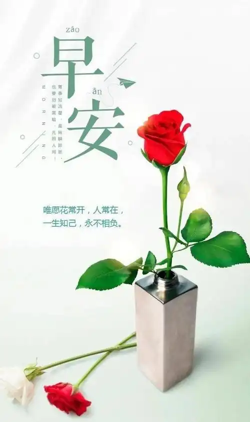 清晨激励人的正能量精辟语录,微信很火的早安励志语句