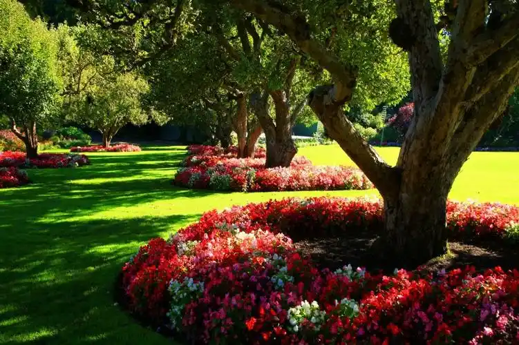 加拿大布查特花园风景图片第2张