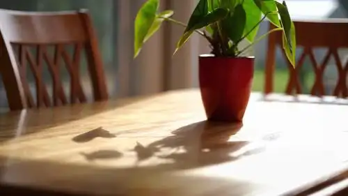 阳光照进窗,情调情趣,休闲生活