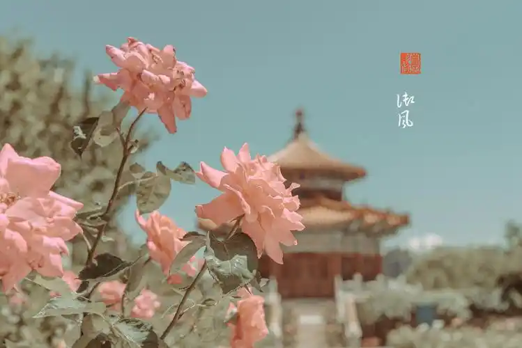 古风京韵建筑西宁京韵青公园万春亭