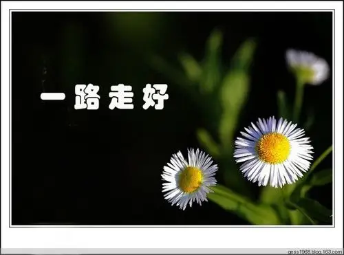 爸爸一路走好……我们想您