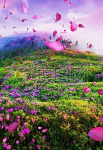 唯美浪漫花瓣飘洒h5动态背景图片素材