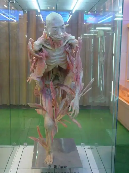 人体科学馆-新乡医学院