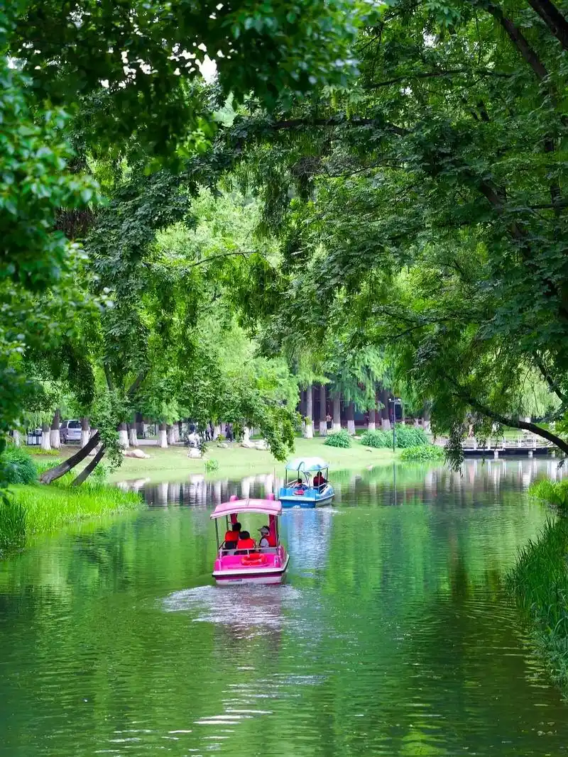 武汉市区最凉快的公园,夏天避暑好去处.武汉最热的夏天到了,给 - 抖音
