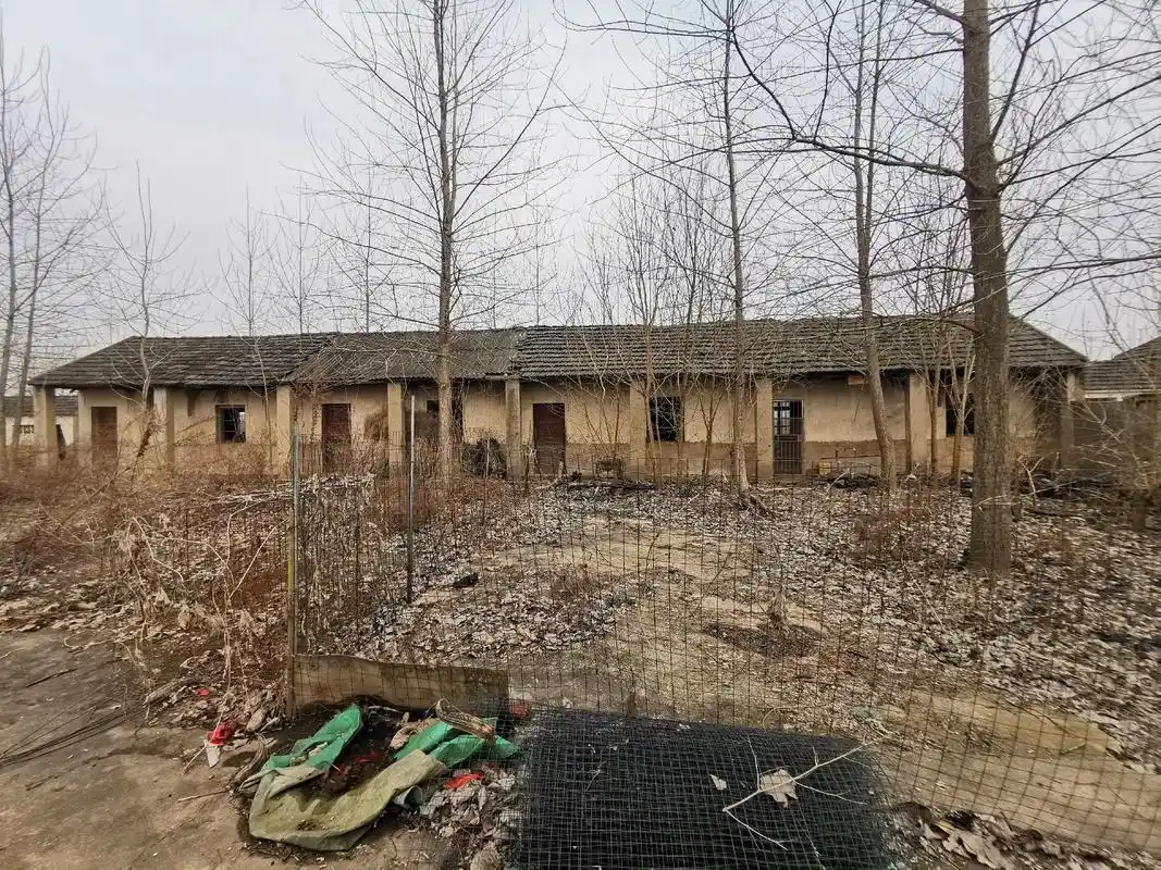 五州小学#老学校 #怀旧 #农村生活 #老照片  - 抖音