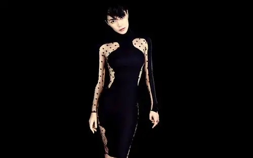 当你吐槽王菲时或许这些事你没有想到