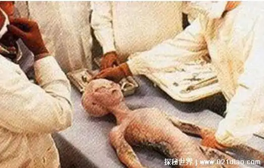 中国活捉外星人震惊世界,橙游网,两架ufo被击落外星人被带走(谣言)