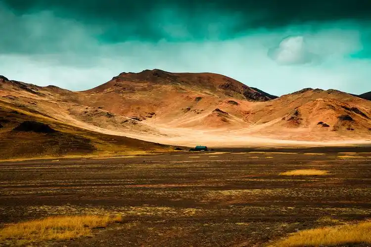羌塘无人区羚羊野驴犹如仙间跌落人间的精灵