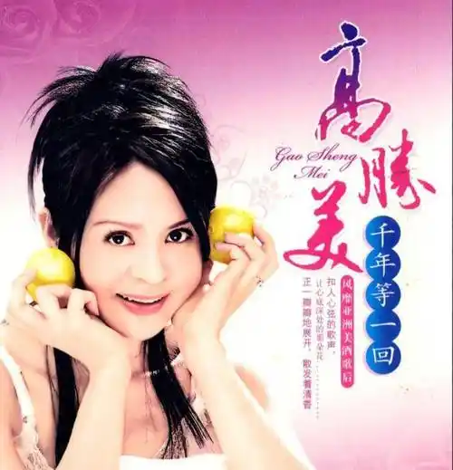 甜歌天后高胜美:16岁出道,红极一时,53岁未婚,陪着老母亲幸福_公司_美