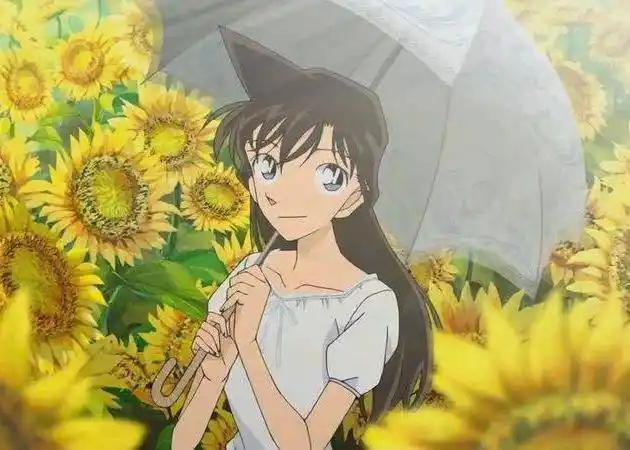 盘点柯南中的女朋友们,小兰恋爱很辛苦,圆子花痴常吃醋