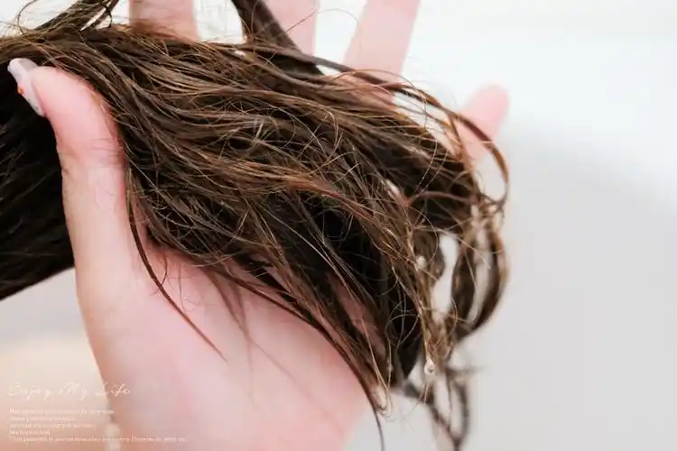 洗发后,头发还湿湿的时候会比较难梳整 这时候千万不可以硬梳!