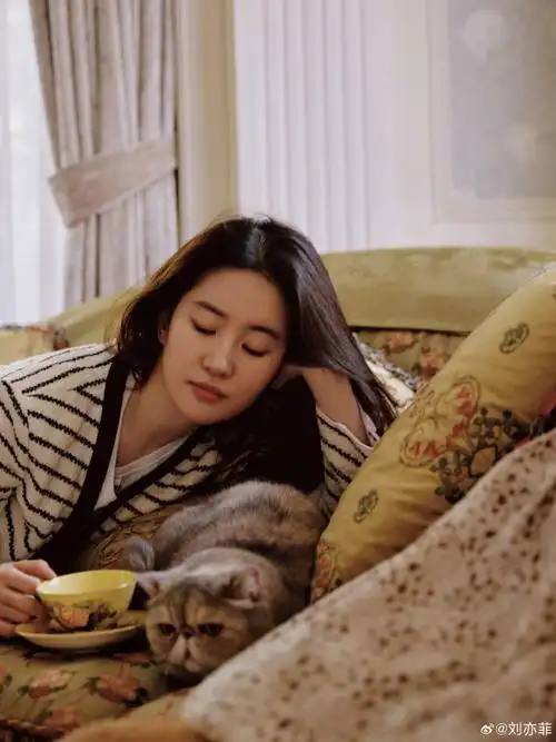 刘亦菲这组照片好治愈