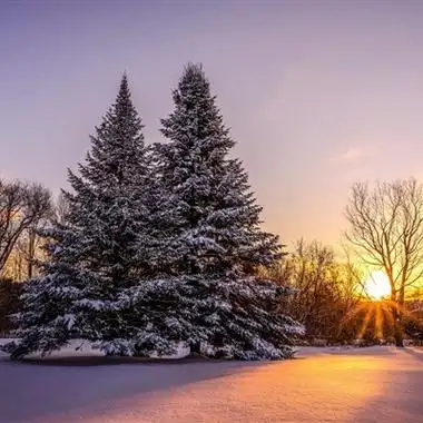 2022年自然风景头像图片(图7)