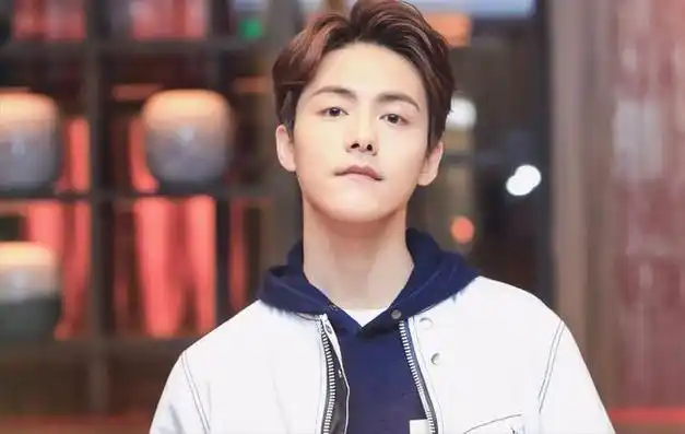 马天宇噩梦般的生活因加油好男儿逆转成名至今不婚不育