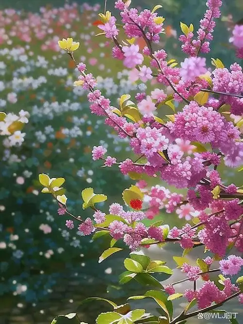 640_852竖版 竖屏