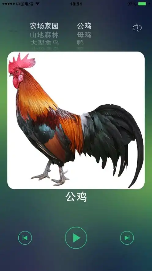 动物叫声声音大全