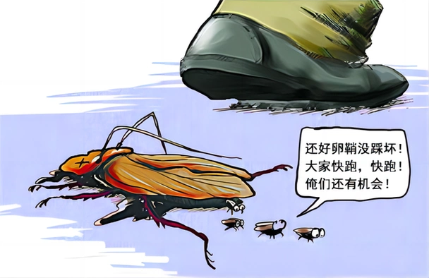 九成人不会懂蟑螂的"天敌"是啥:屋里放个它,蟑螂"全逃跑"了