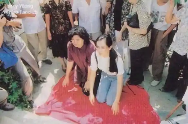 正如刘德华一样,她在事业达到巅峰之际,毫不犹豫地选择回到了她的家乡