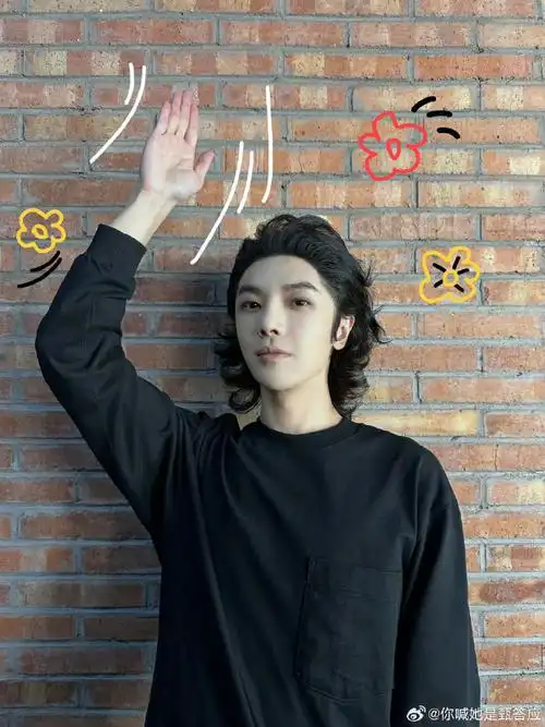 华晨宇的发际线