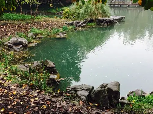 杭州太子湾公园一一初冬水景