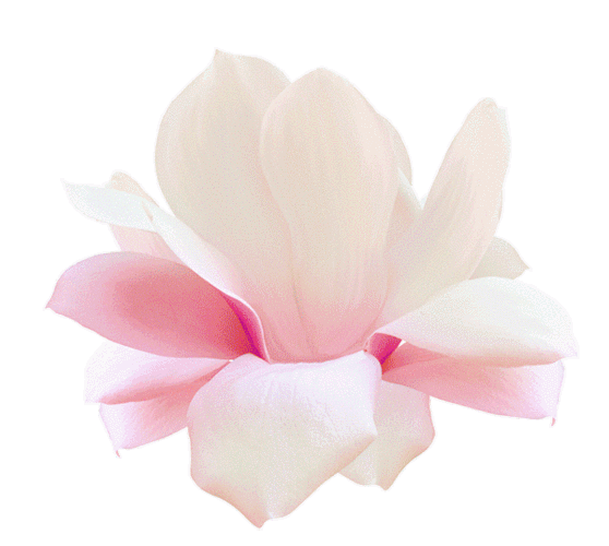 【本博精典素材篇】唯美的gif装饰用图上 - 浪漫人生 - .