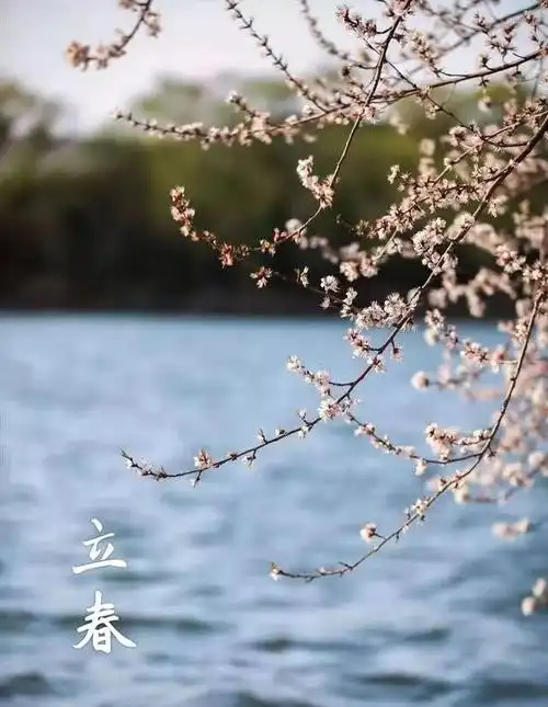 今日立春|迎接春天,迎接希望