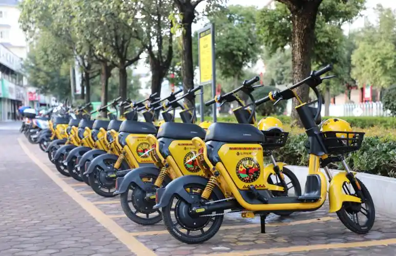 松果出行翟光龙:电动两轮车在节能减排方面具备独特价值_腾讯新闻