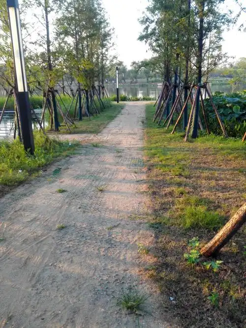 现在我们现实生活脚底下的路,真是又舒适又美观.