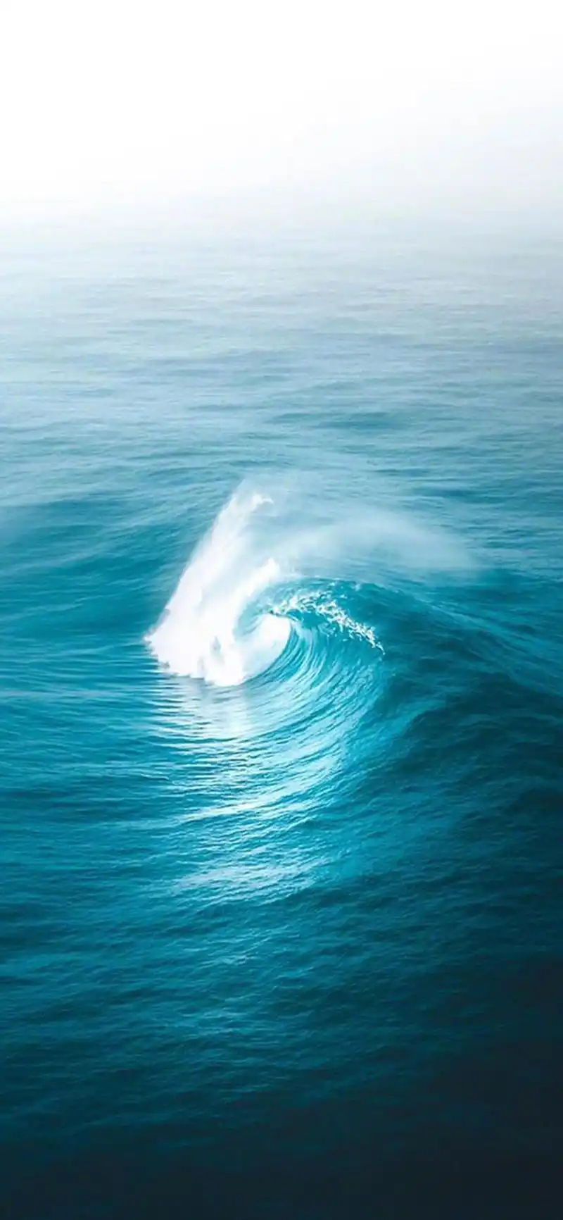 1080_2338竖版 竖屏