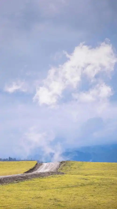 清新养眼的自然草原优美风景,高清图片,手机壁纸