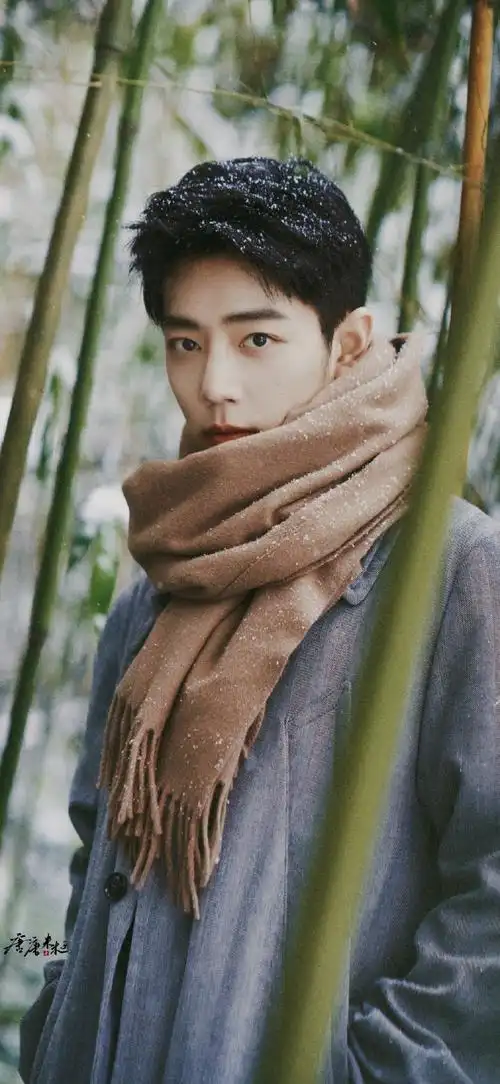 肖战壁纸##肖战