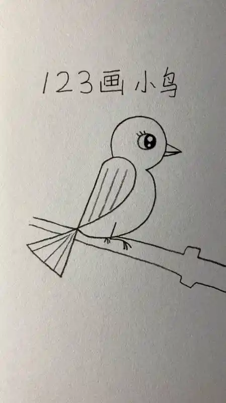 画画原来如此简单123画小鸟