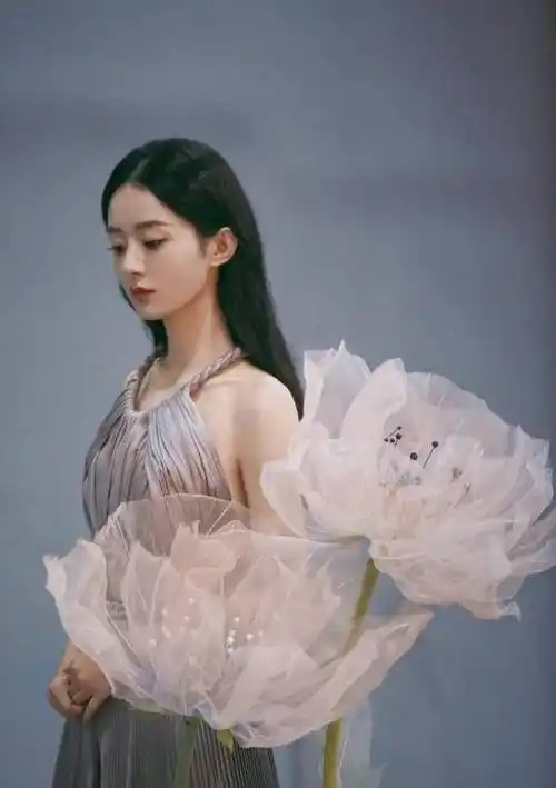 其实赵丽颖除了有一段时间不论做什么事都会被骂,然后被辱骂要求她