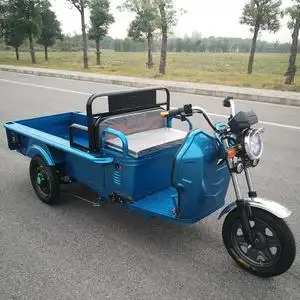 电动三轮运孩子电老年小型三轮车家用老人新款电瓶车接送拉货成人