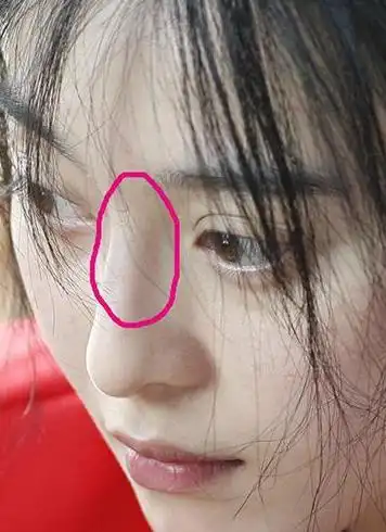 网上称范冰冰刚刚出道时的照片就是范冰冰最想删掉的照片.