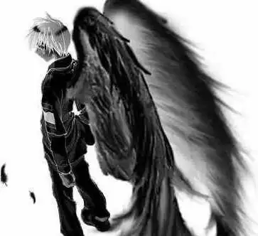 求堕落天使图一张