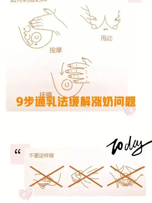 9个步骤人工挤奶的正确方式
