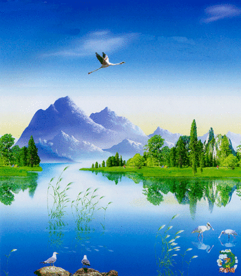 350_400gif 动态图 动图