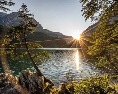 奥地利,施蒂利亚州,湖泊,树木,山脉,太阳光线