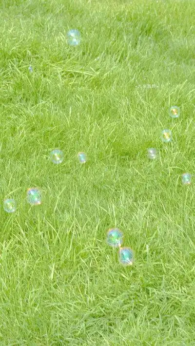 草地 绿色系 小清新 少女心 手机壁纸