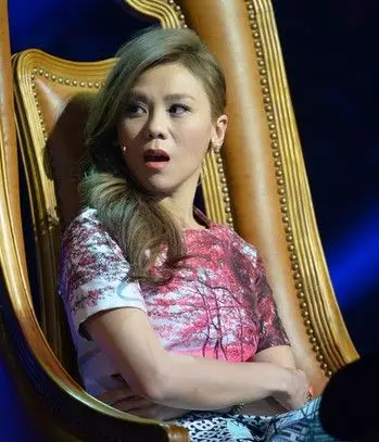 蔡健雅整容对比照片蔡健雅老公是谁