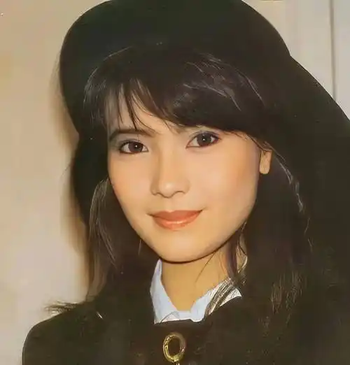 娱乐圈消失很久的女明星,我经常会想到她们(二)_蓝洁瑛_中国香港_电视