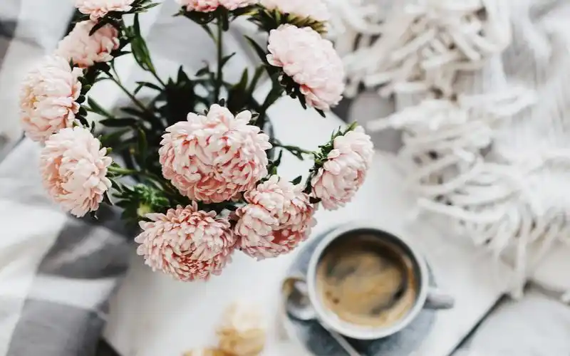 ins风唯美泡芙,高清图片,电脑桌面-壁纸族