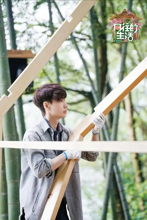 向往的生活第五季全家出游桃花源里寻春光