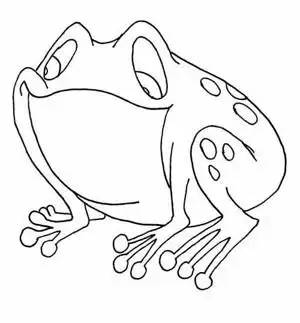 睡觉的青蛙简笔画图片