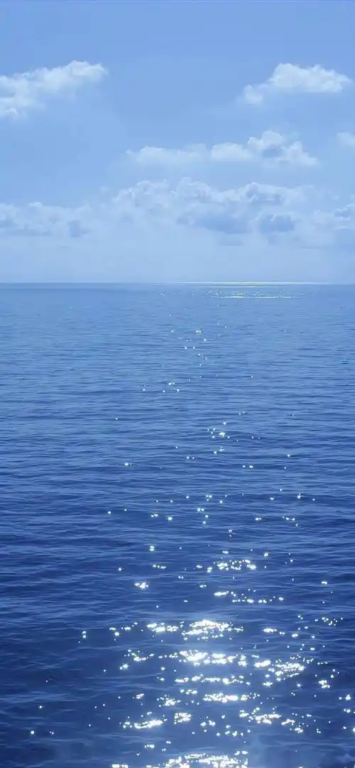 05620506/6865.6961 | 超爱的ins高级感壁纸来啦