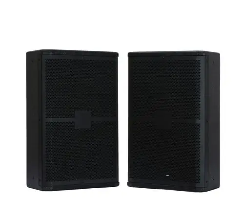 12寸低音无源音箱户外娱乐舞台演出ktv包房会议厅演绎吧专业音响