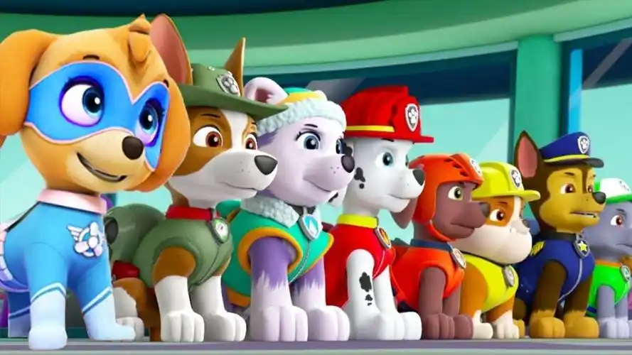 5只小狗大集合,一起洗澡,做运动和吃东西,汪汪队立大功玩具