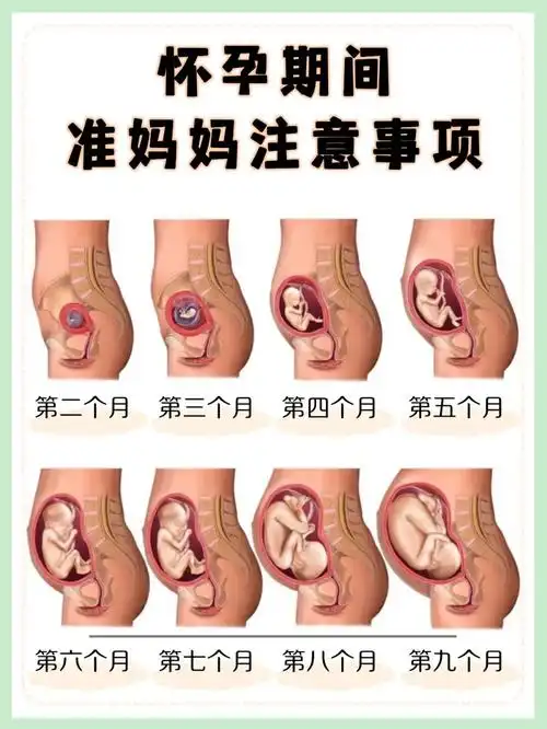 怀孕期间准妈妈9999注意事项下